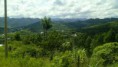 /album/fotogaleria-inicio1/abasolo-chiapas-mexico-139-jpg1/